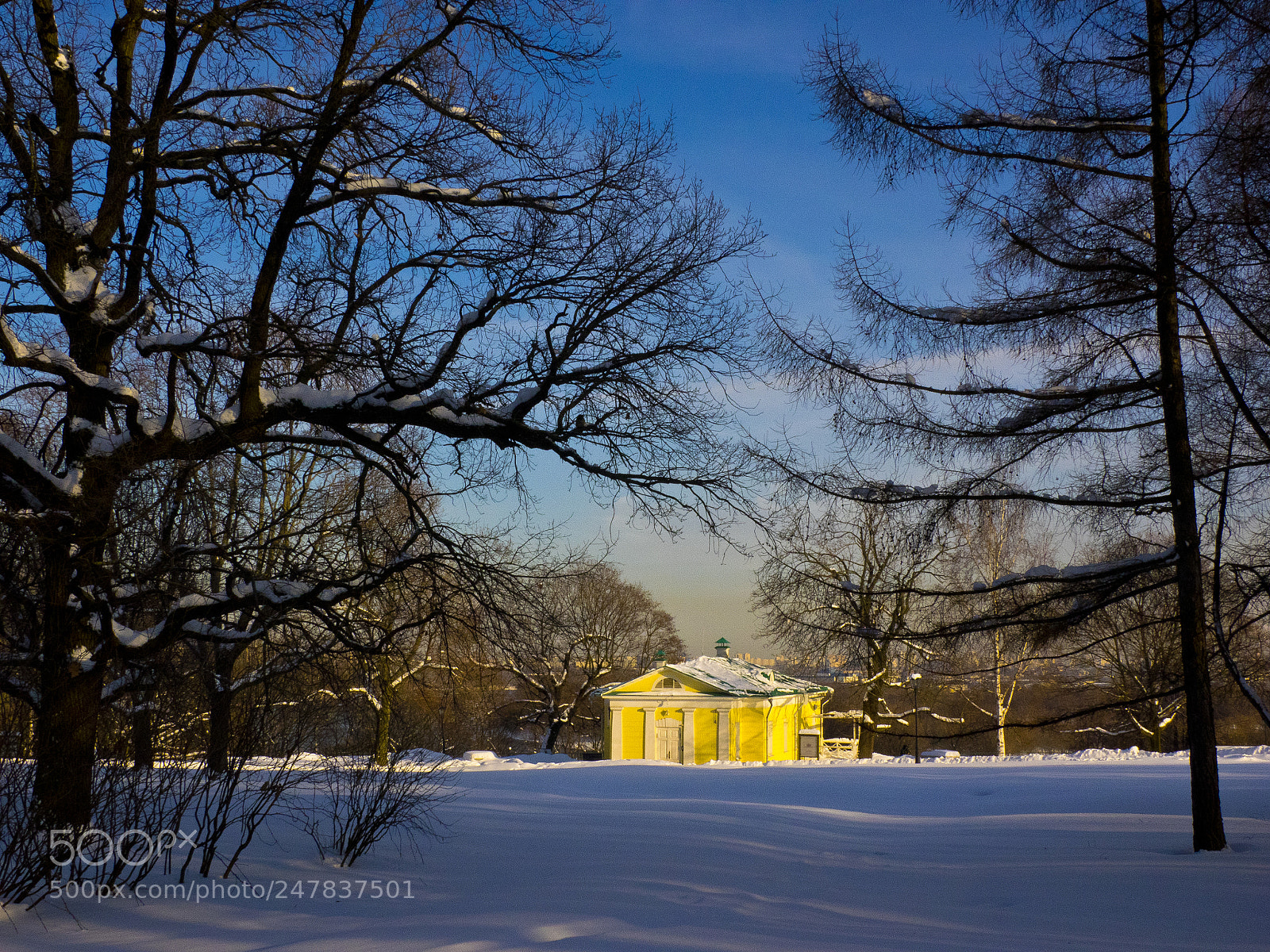 Olympus OM-D E-M1 sample photo. Sunny day in kolomenskoe photography