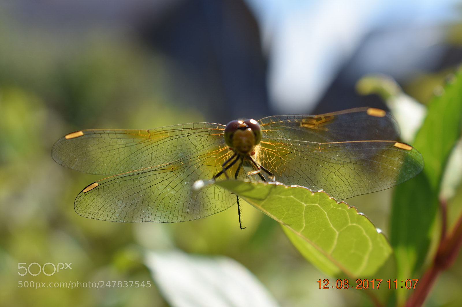Nikon D3400 sample photo. Untitled photography
