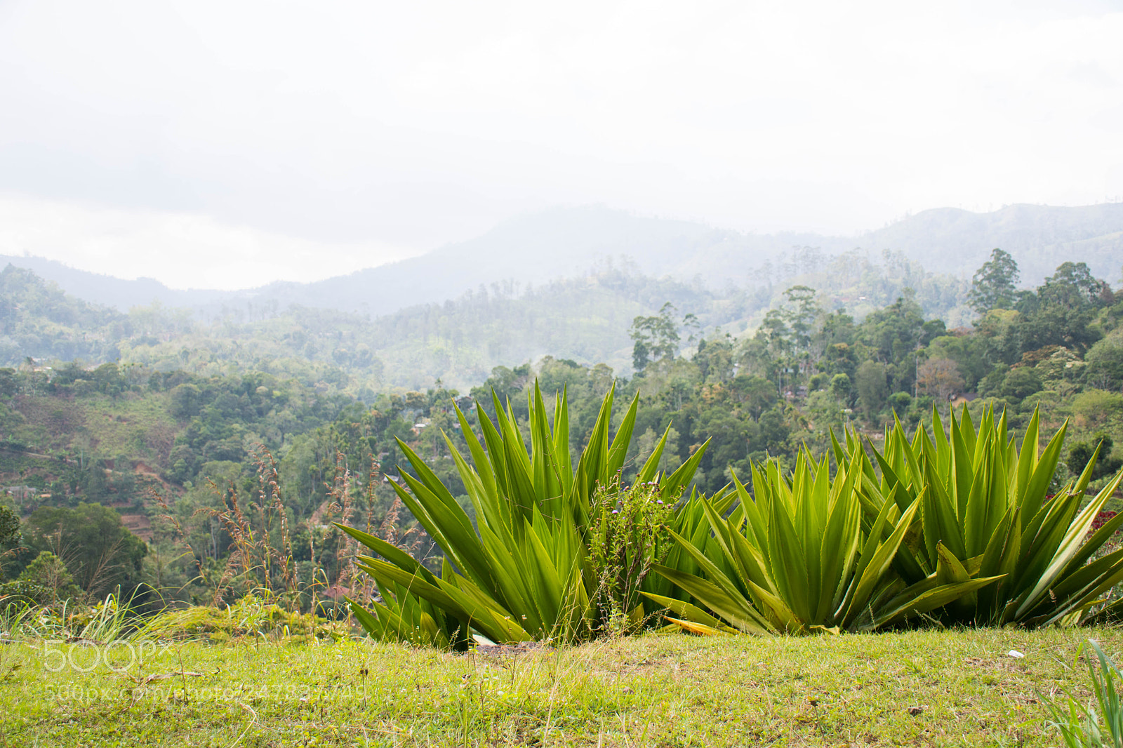 Nikon D7500 sample photo. Four mountain ranges photography