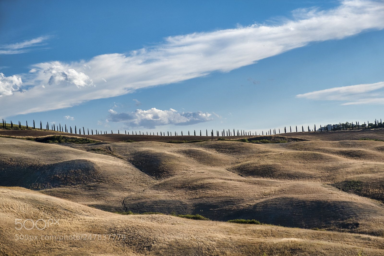 Fujifilm X-T2 sample photo. Summer landscape near asciano photography