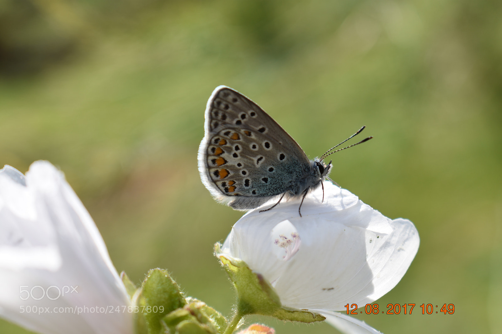Nikon D3400 sample photo. Untitled photography