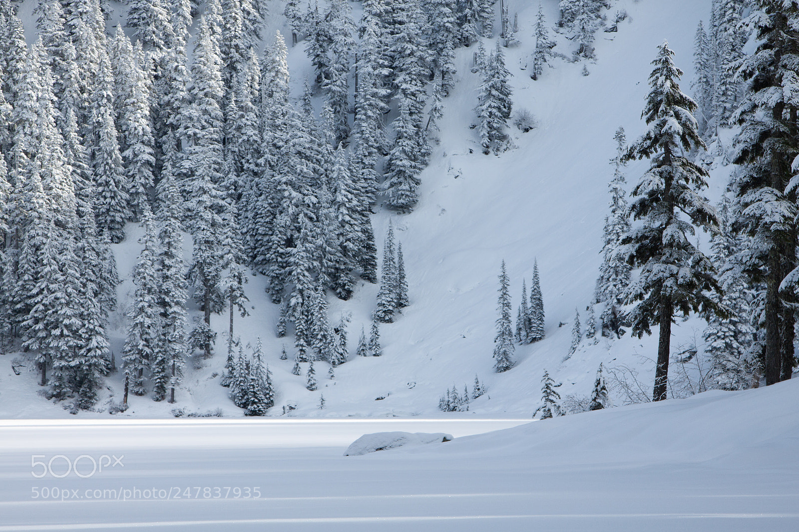 Canon EOS 50D sample photo. Frozen lake photography