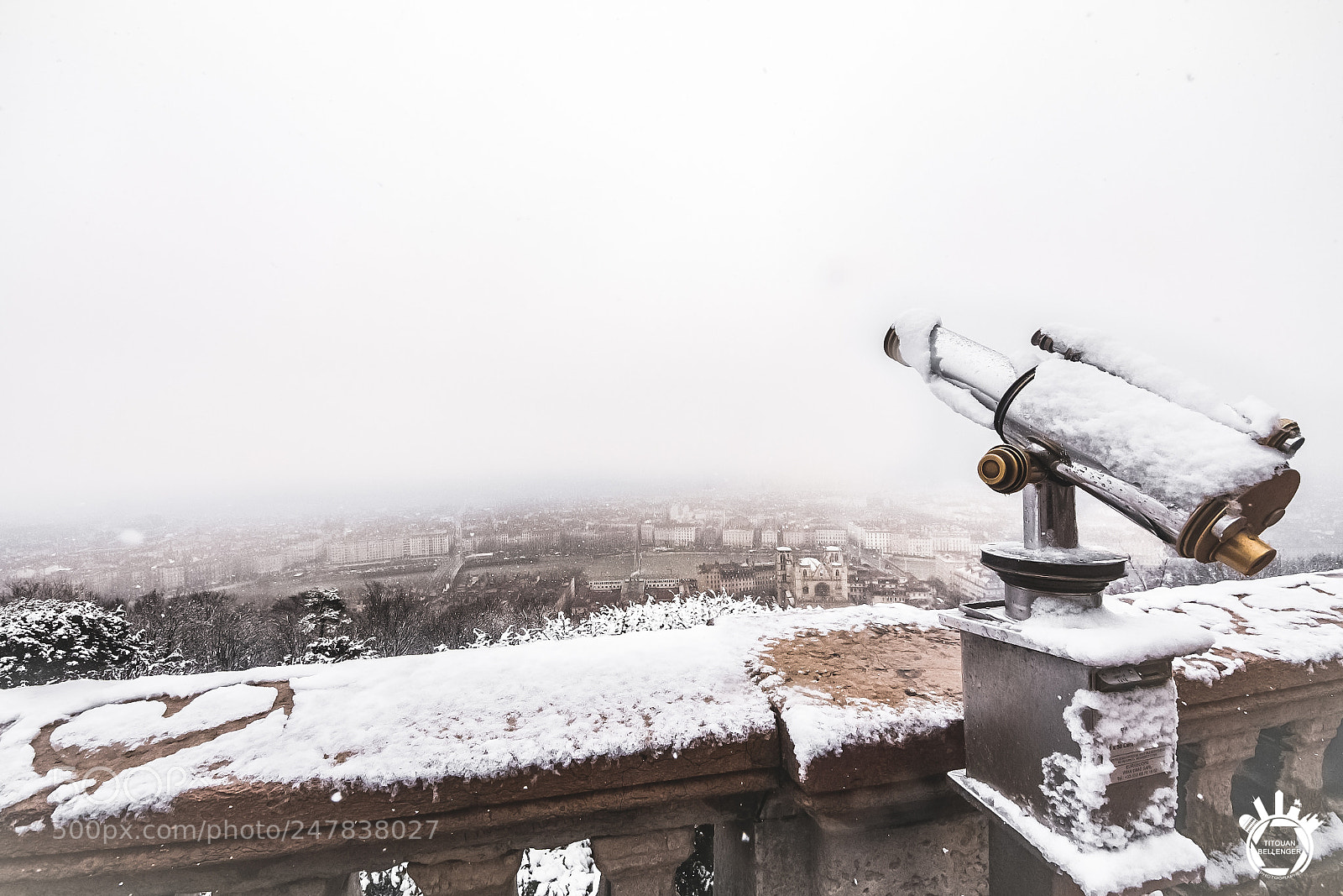 Canon EOS 700D (EOS Rebel T5i / EOS Kiss X7i) sample photo. When lyon comes to photography
