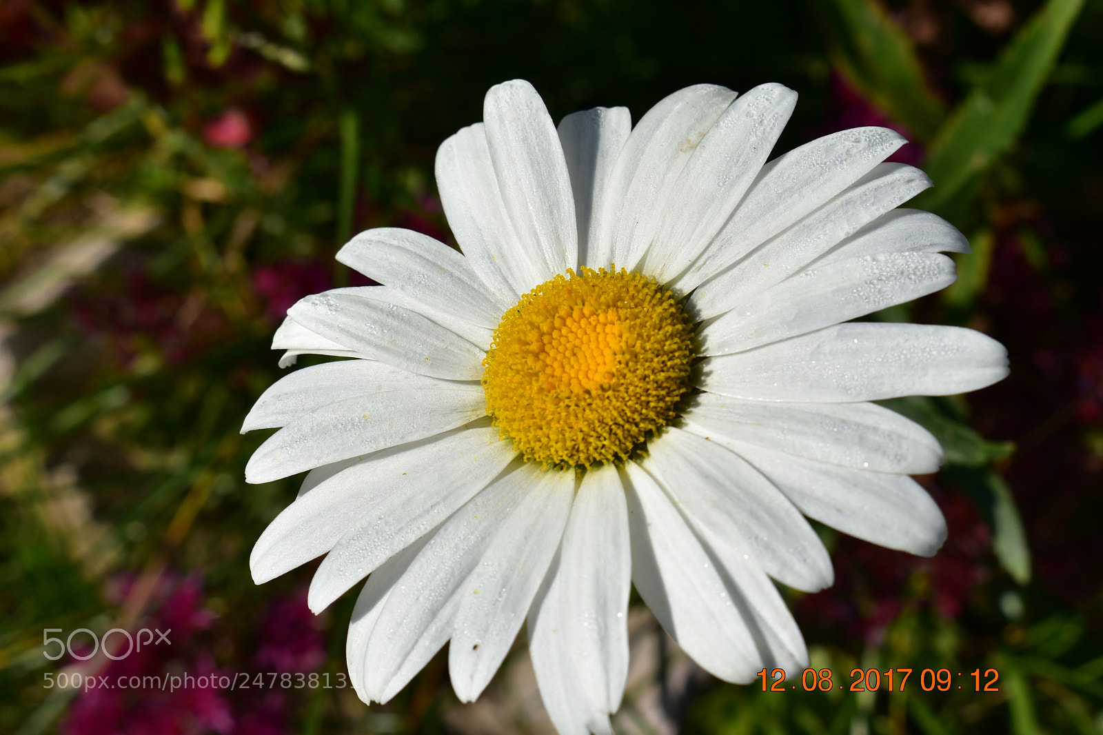 Nikon D3400 sample photo. Untitled photography
