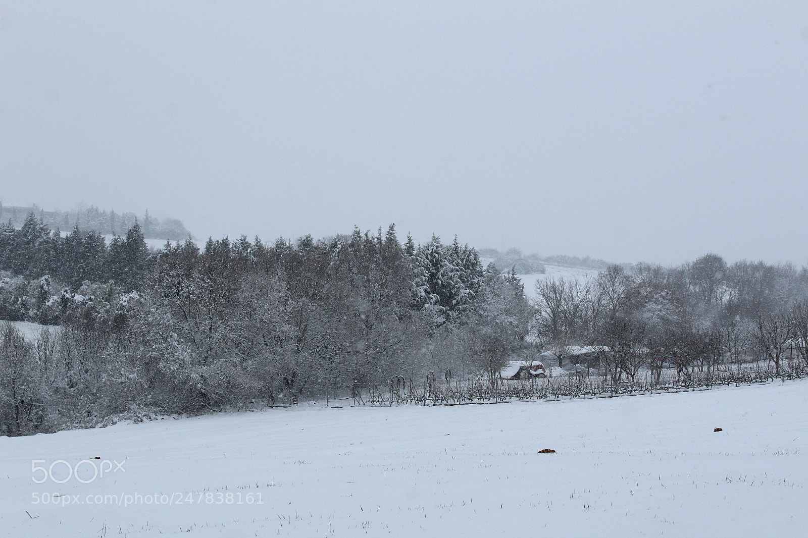 Canon EOS 1300D (EOS Rebel T6 / EOS Kiss X80) sample photo. Snow cover photography