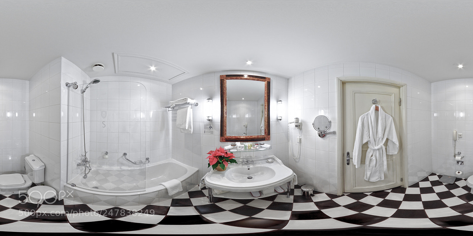 Nikon D7500 sample photo. Business king. bathroom. 360vr photography