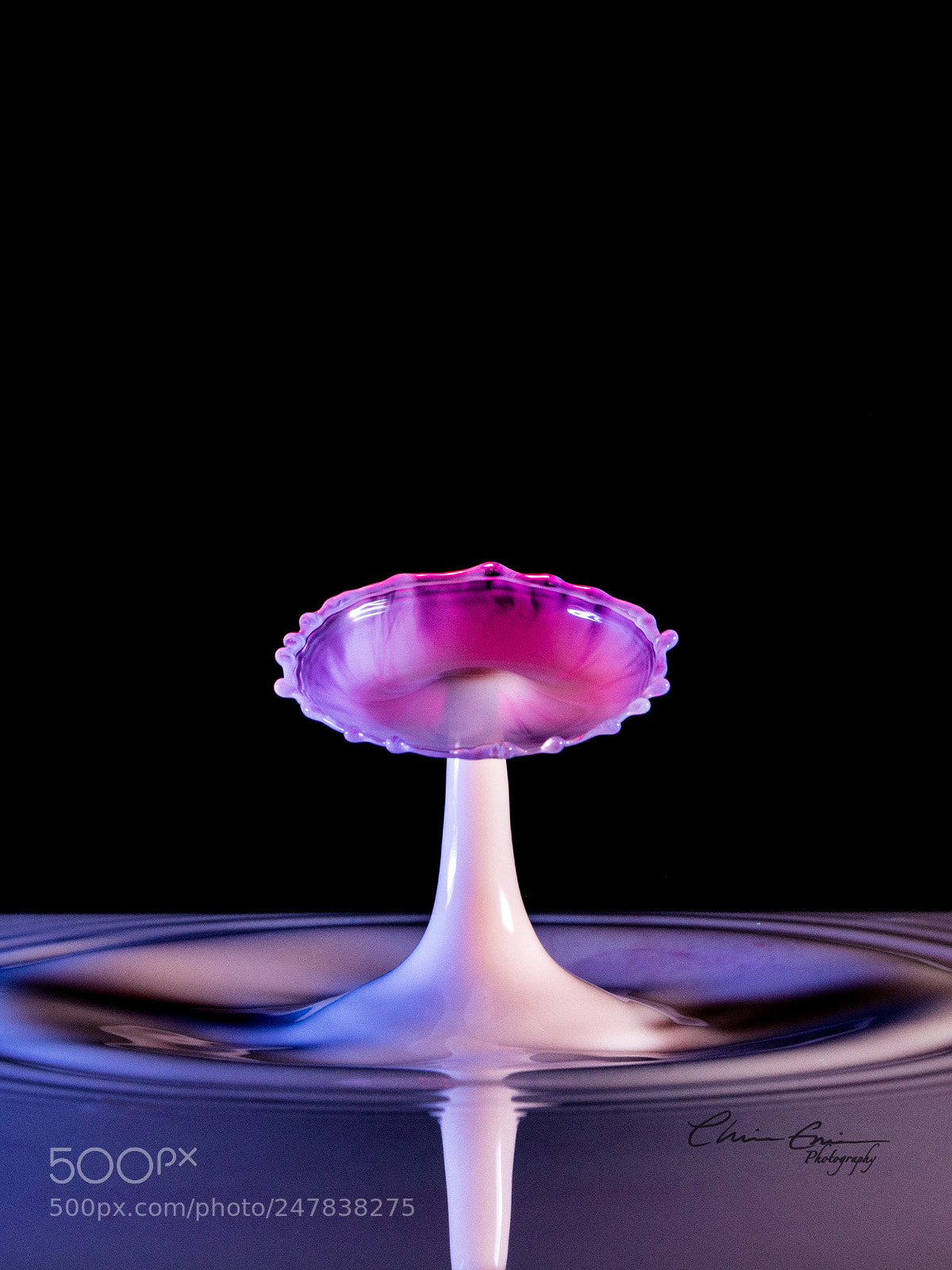 Nikon D500 sample photo. Purple milksplash photography