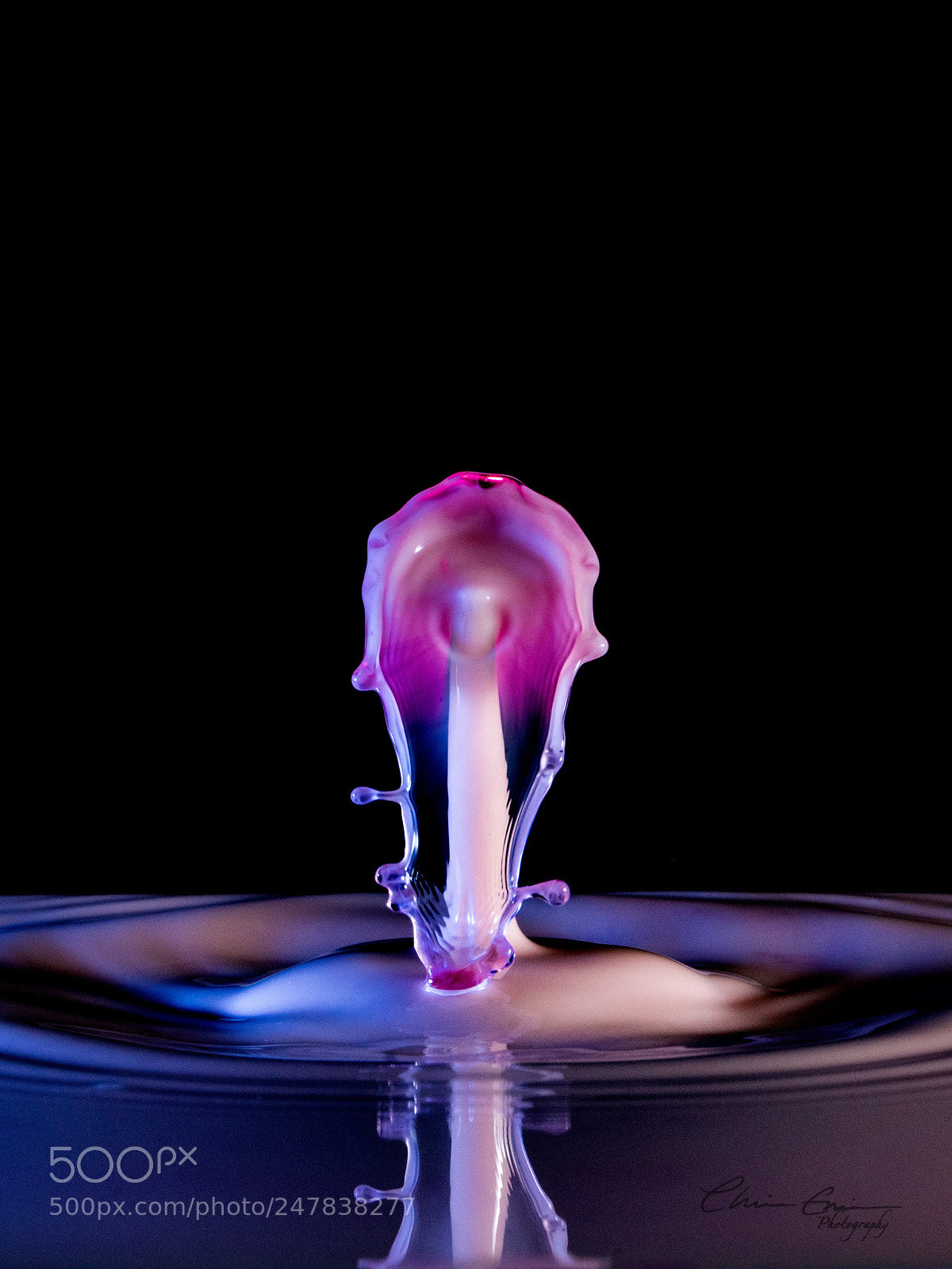 Nikon D500 sample photo. Purple milksplash photography