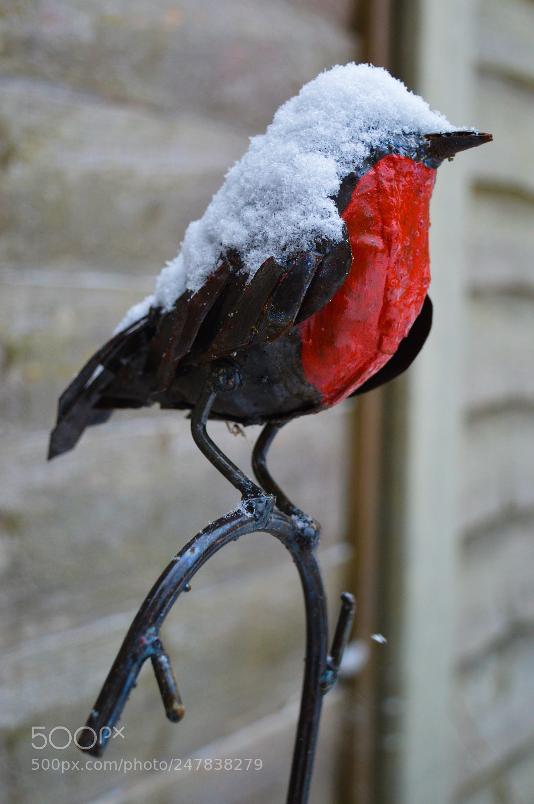 Nikon D3200 sample photo. Robin in snow photography