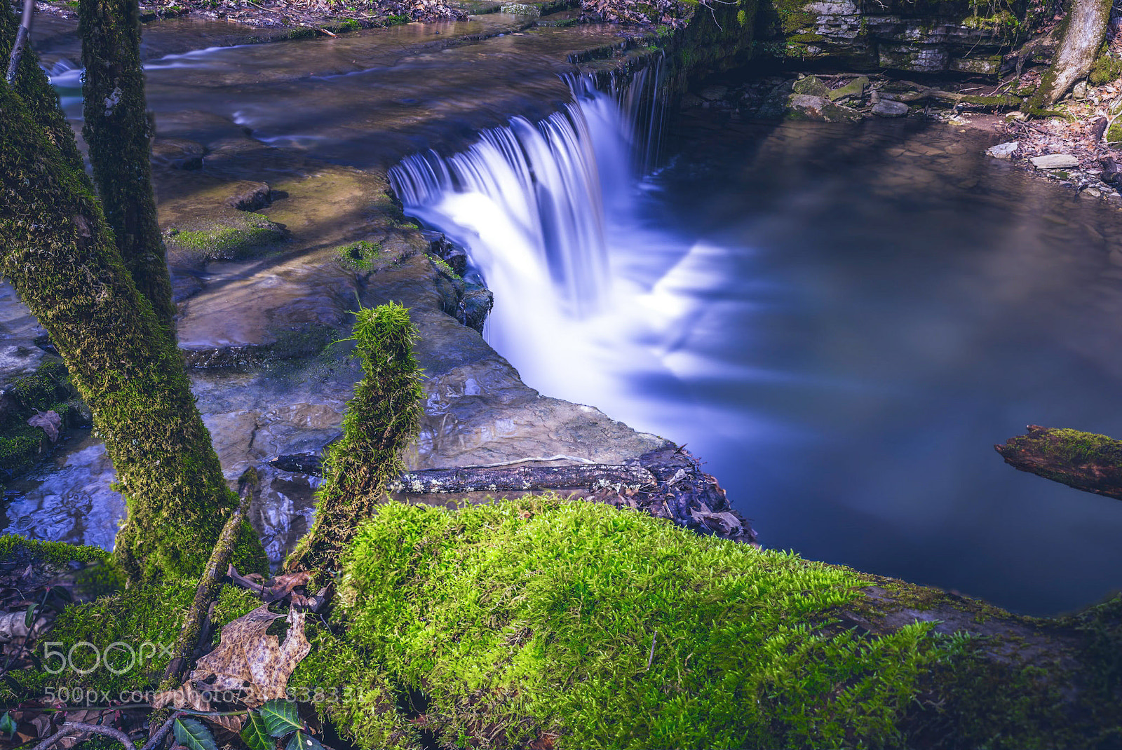 Nikon D850 sample photo. Raven run sanctuary unseen photography