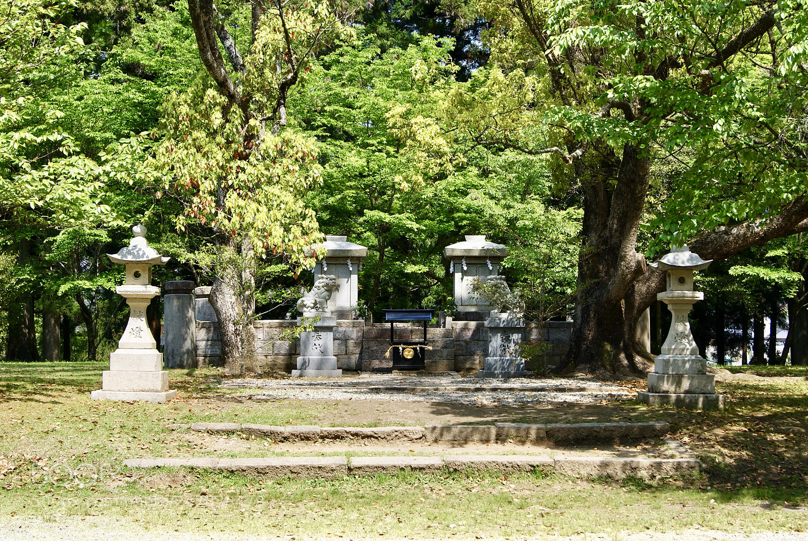 Sony Alpha DSLR-A330 sample photo. 大斎原 photography
