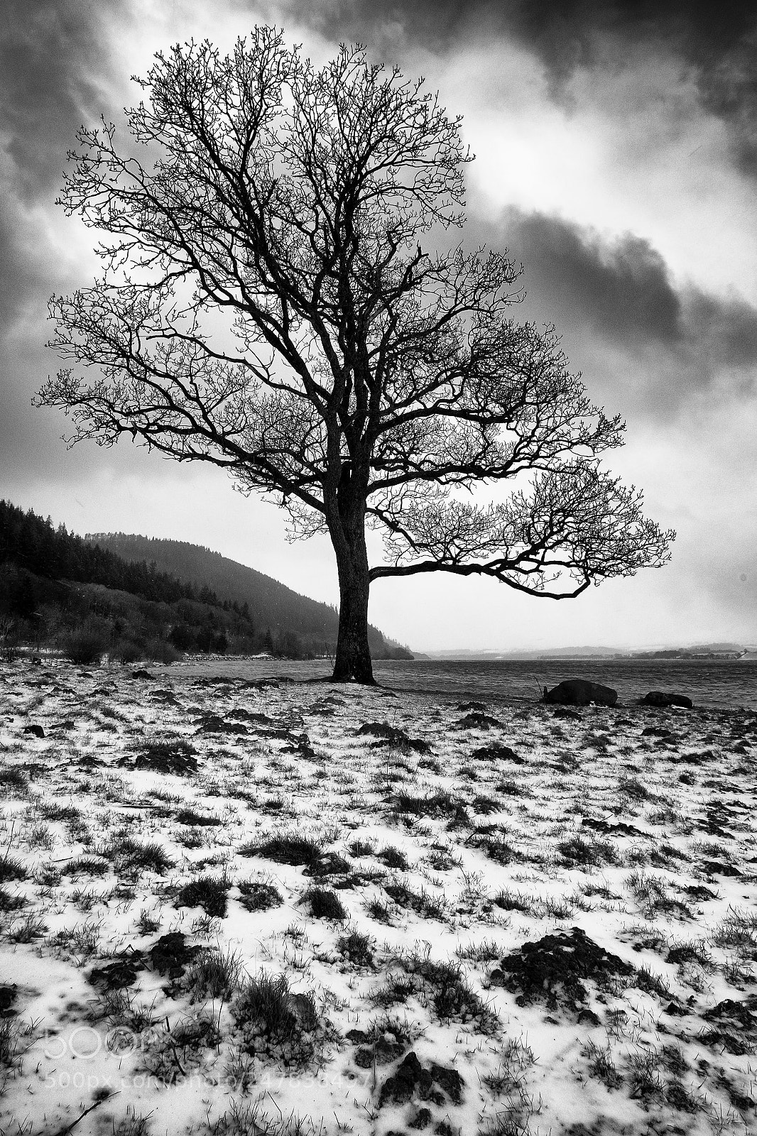 Fujifilm X-T1 sample photo. Lake district winter photography