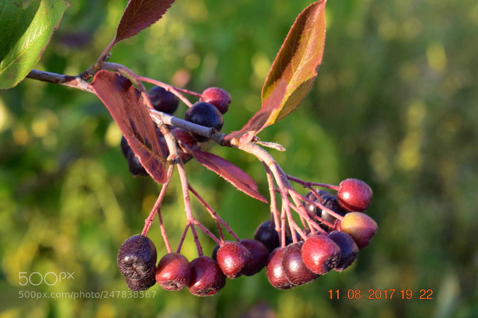 Nikon D3400 sample photo. Untitled photography