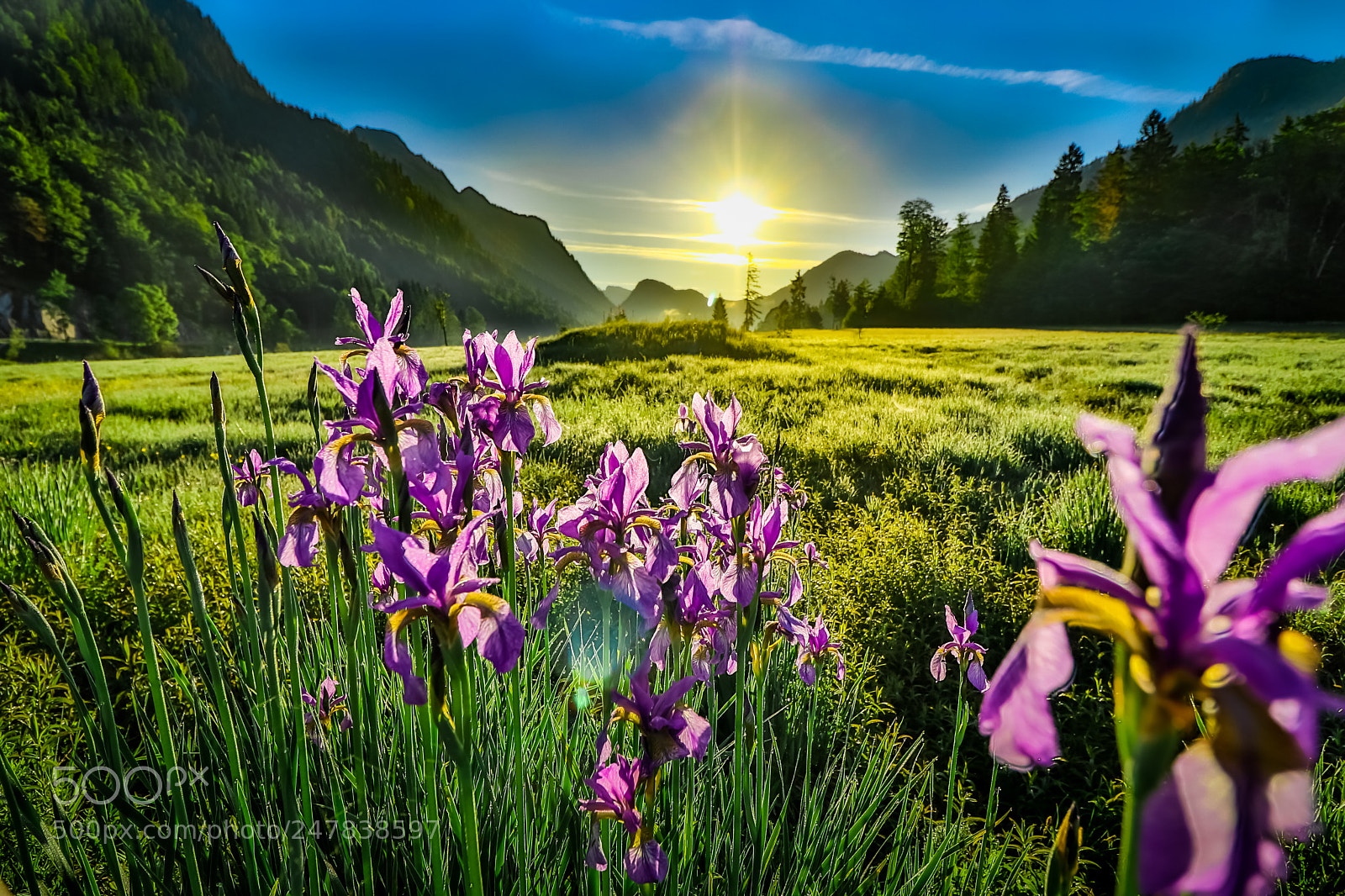 Canon EOS 80D sample photo. Orchideen-erwachen (wake the day) photography