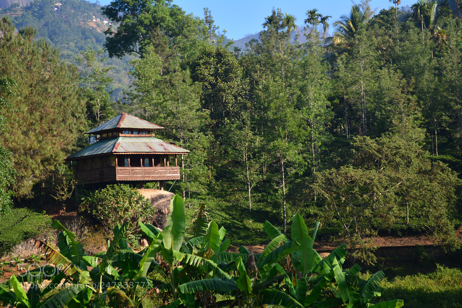 Nikon D5200 sample photo. Dream house :) photography