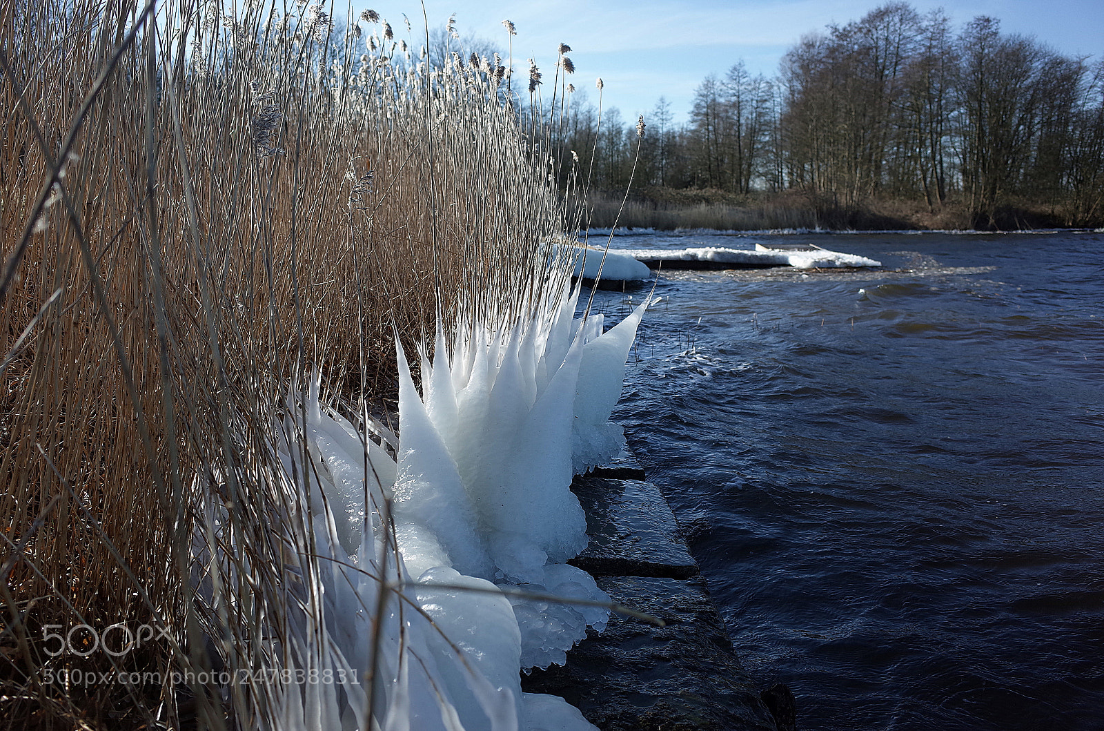 Ricoh GR II sample photo. Frozen photography