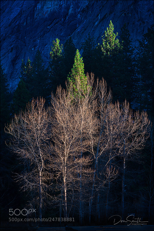 Sony a7R III sample photo. Last light of day photography