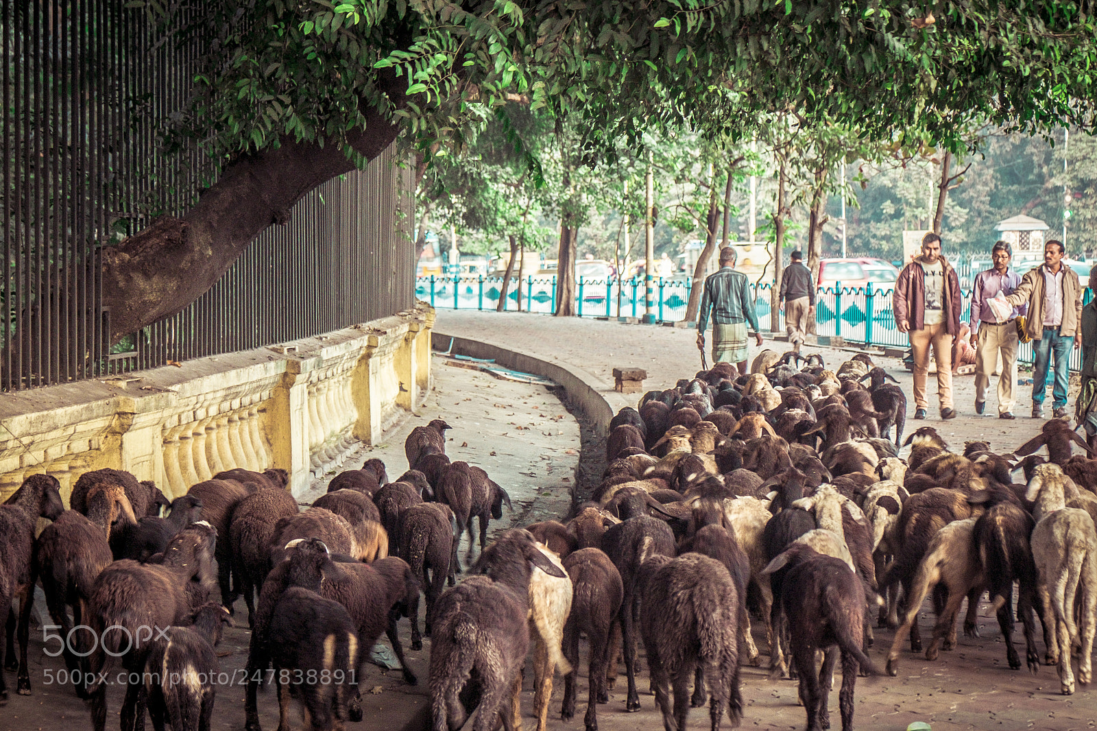Fujifilm X-T1 sample photo. Streets of kolkata photography