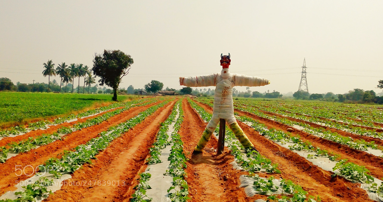 Motorola Moto E (4) Plus sample photo. Farming feild photography