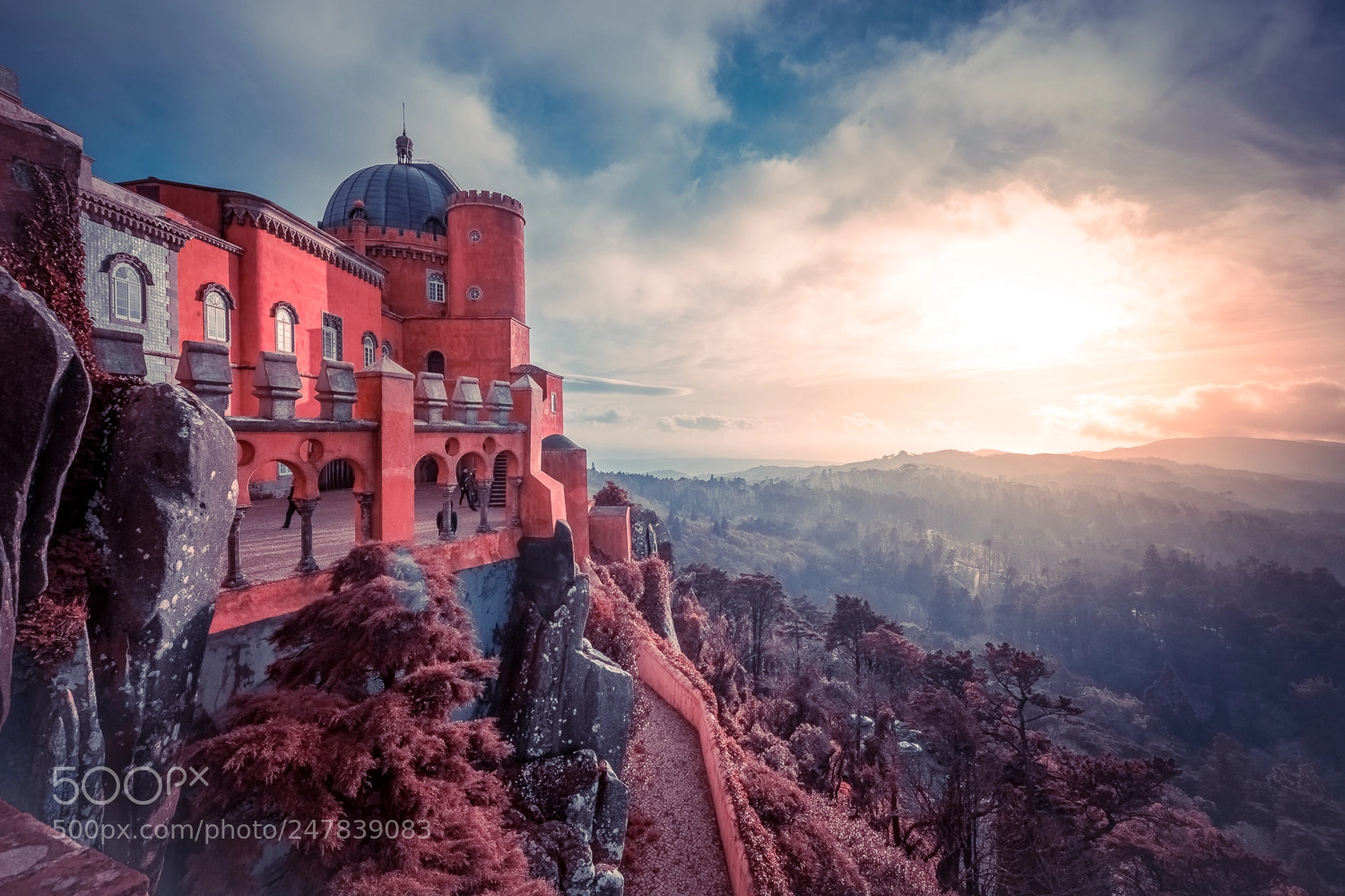 Nikon D7200 sample photo. Palacio da pena photography
