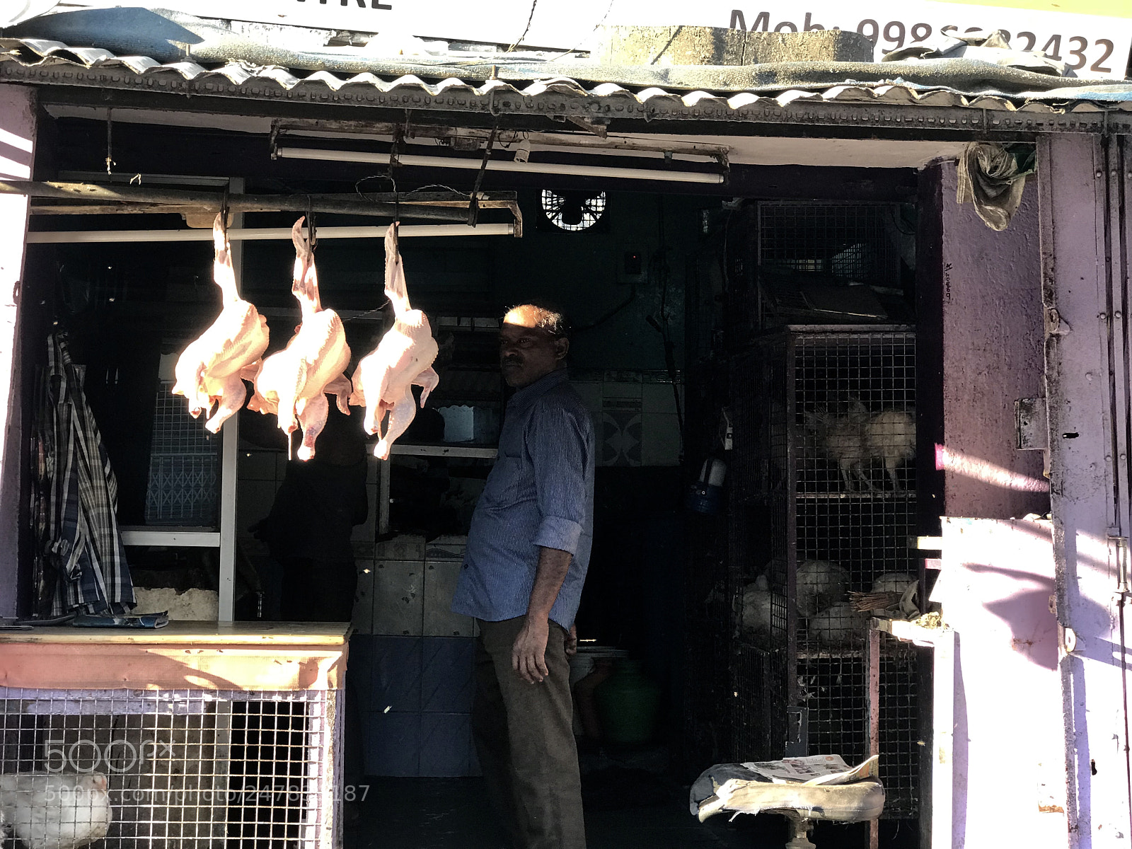 Apple iPhone 7 Plus sample photo. Chicken head photography