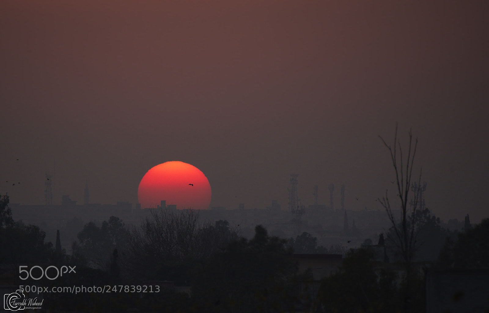 Nikon D750 sample photo. Sunset in islamabad photography