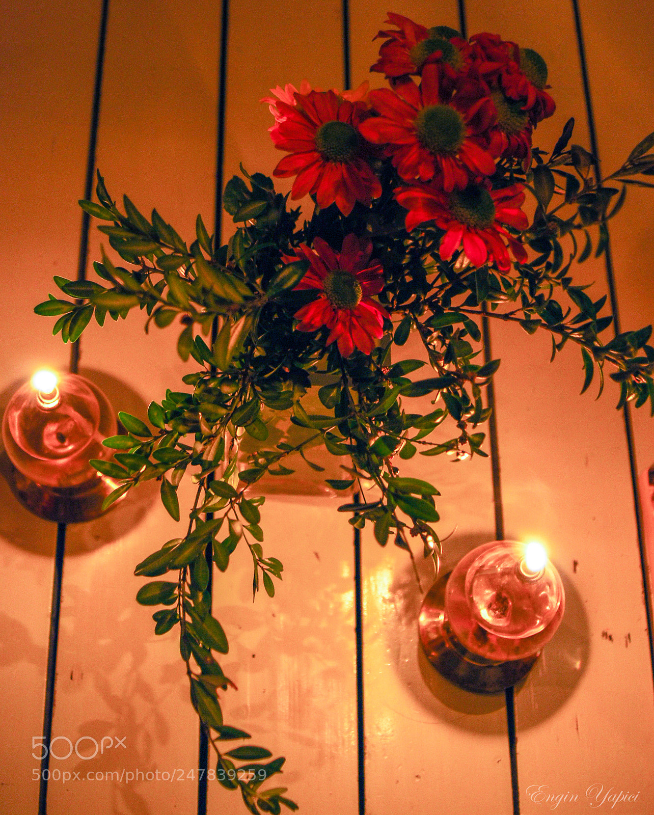 Nikon D80 sample photo. Firelight photography