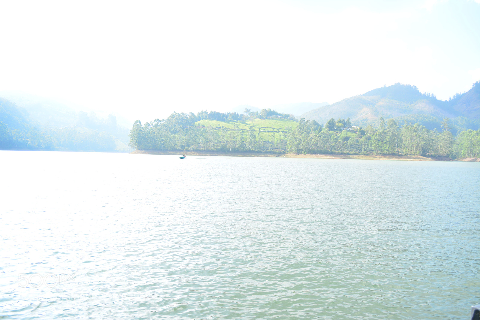 Nikon D5200 sample photo. Cool nature photography