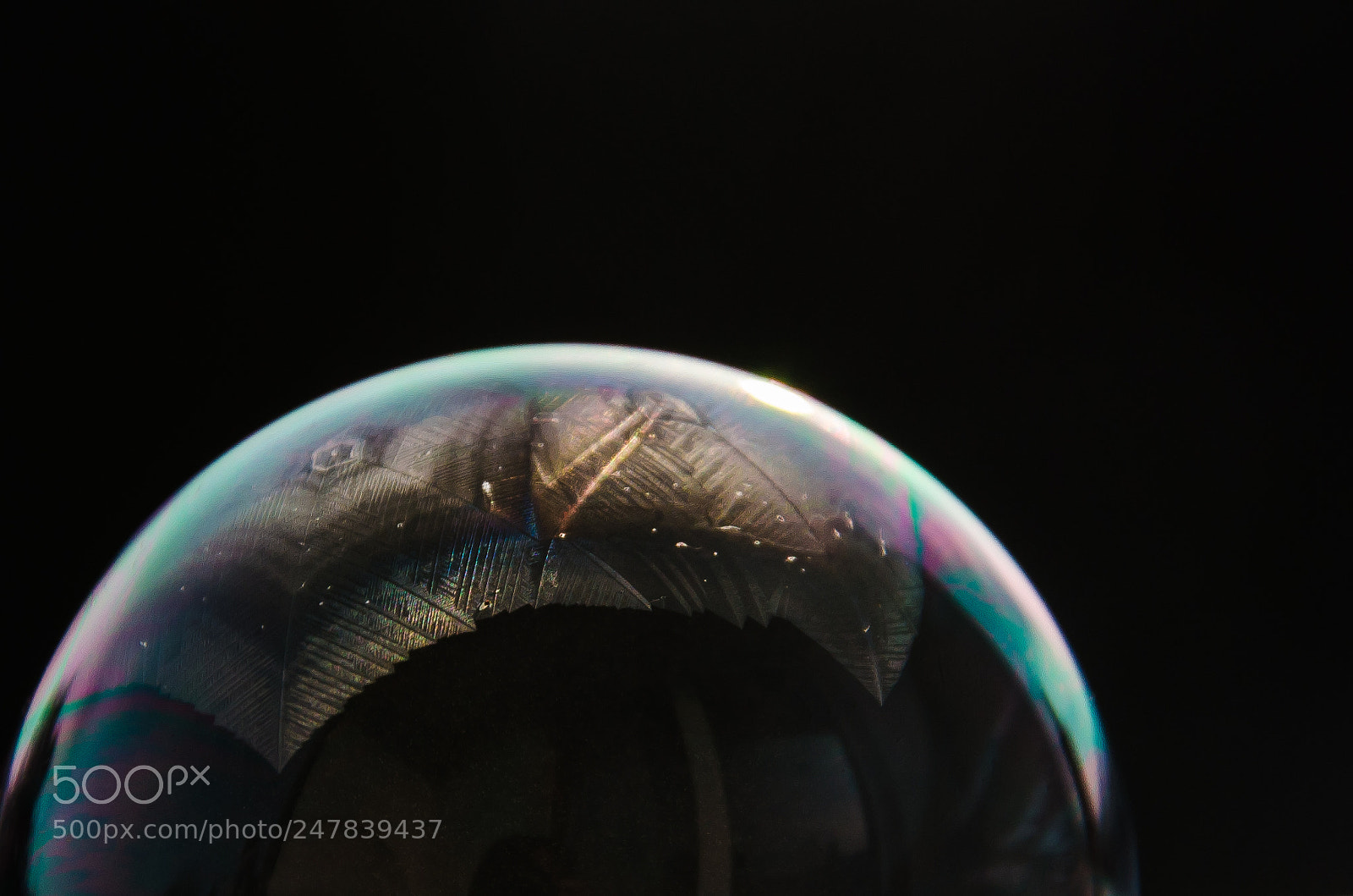 Nikon D5100 sample photo. Crystal shine photography