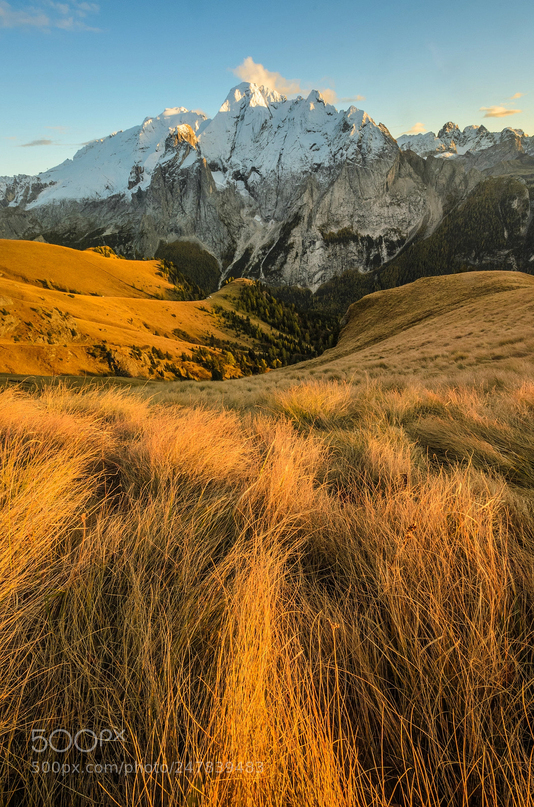 Nikon D5100 sample photo. Autumn view of mountain photography