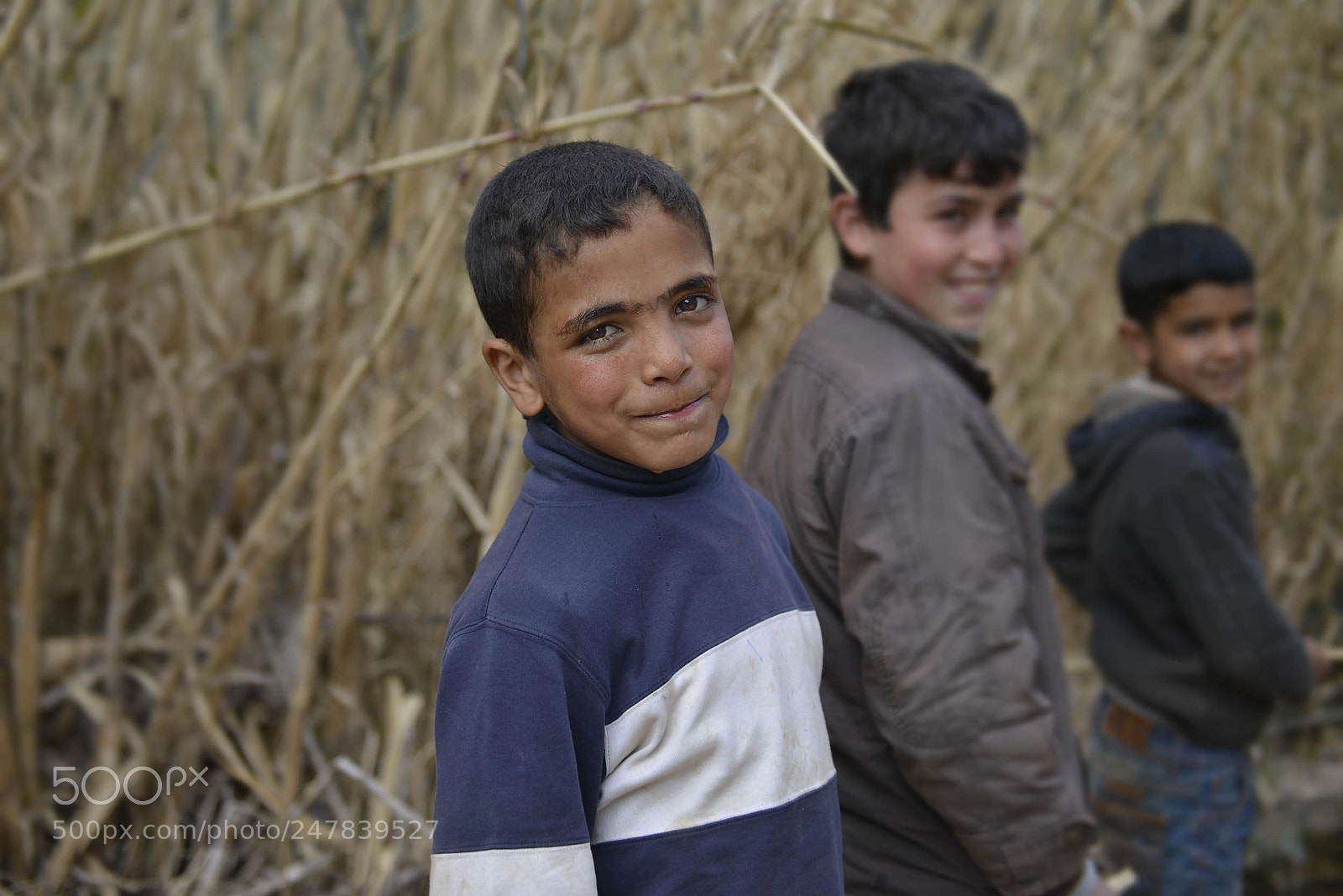 Nikon D800 sample photo. Morroco photography