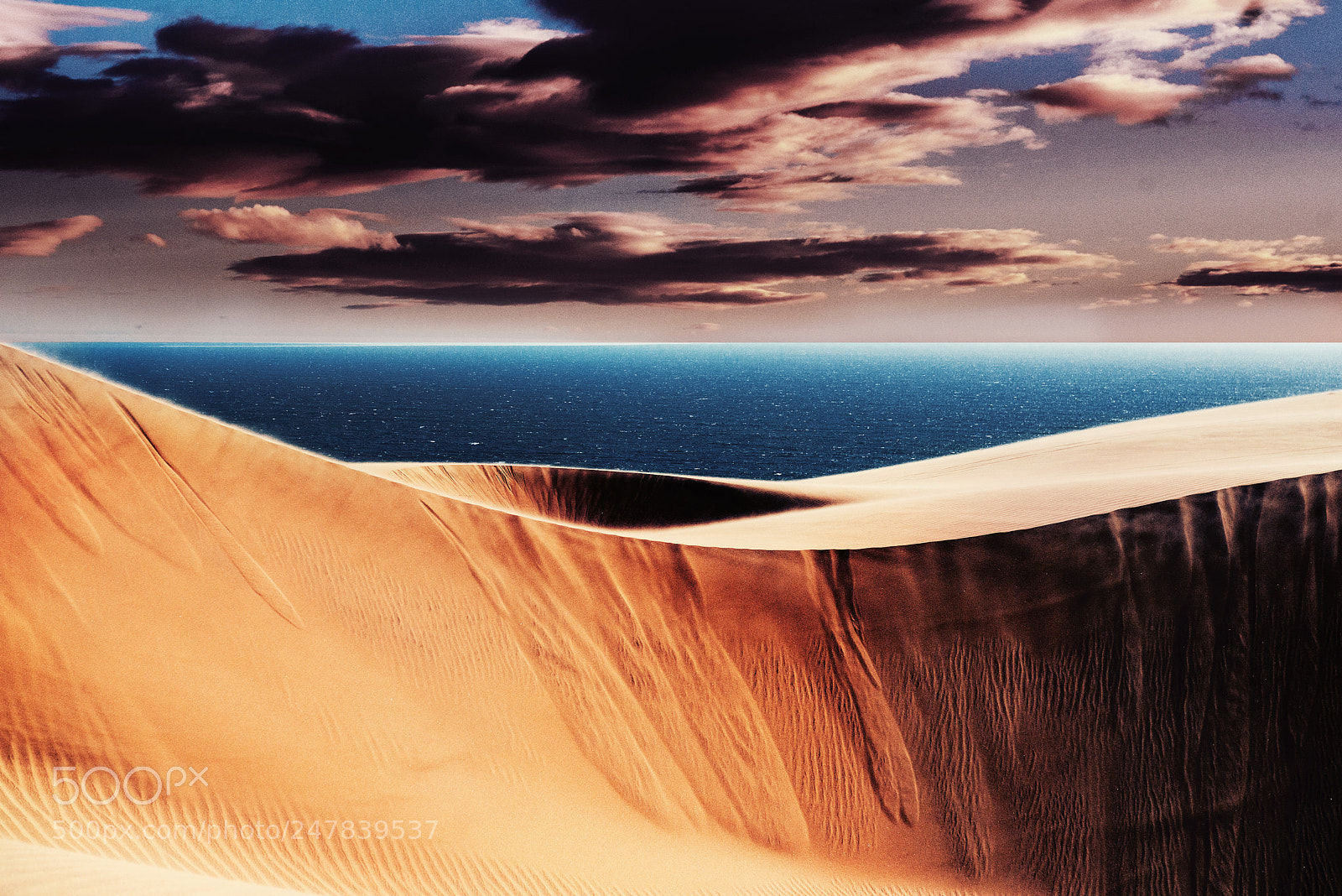 Nikon D800E sample photo. Skeleton coast photography