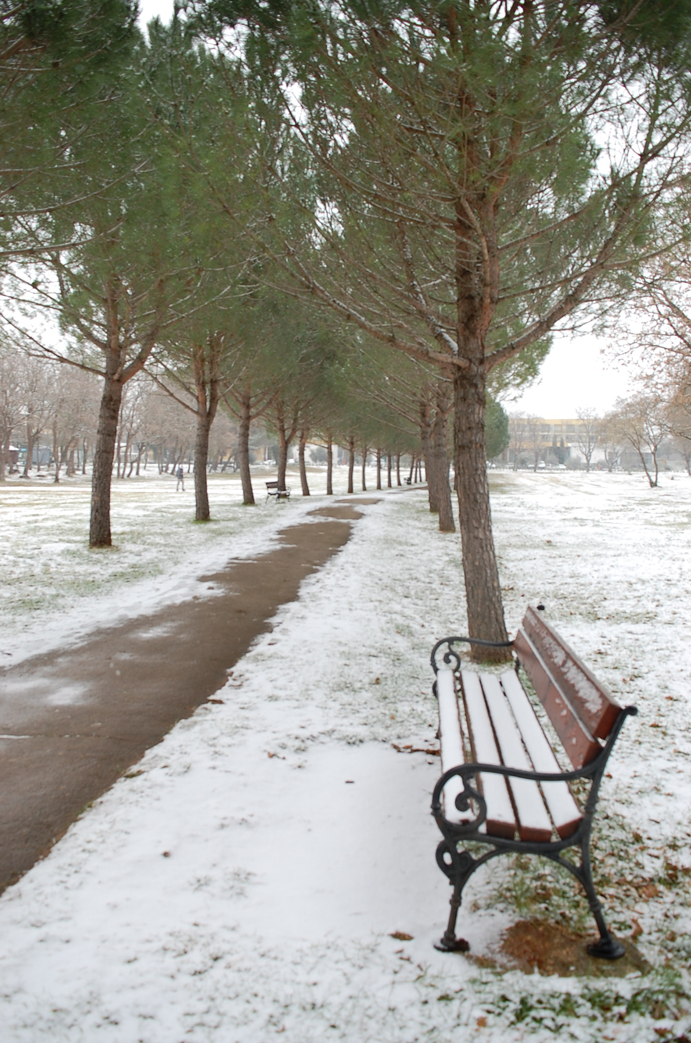 Nikon D40 sample photo. Umag photography