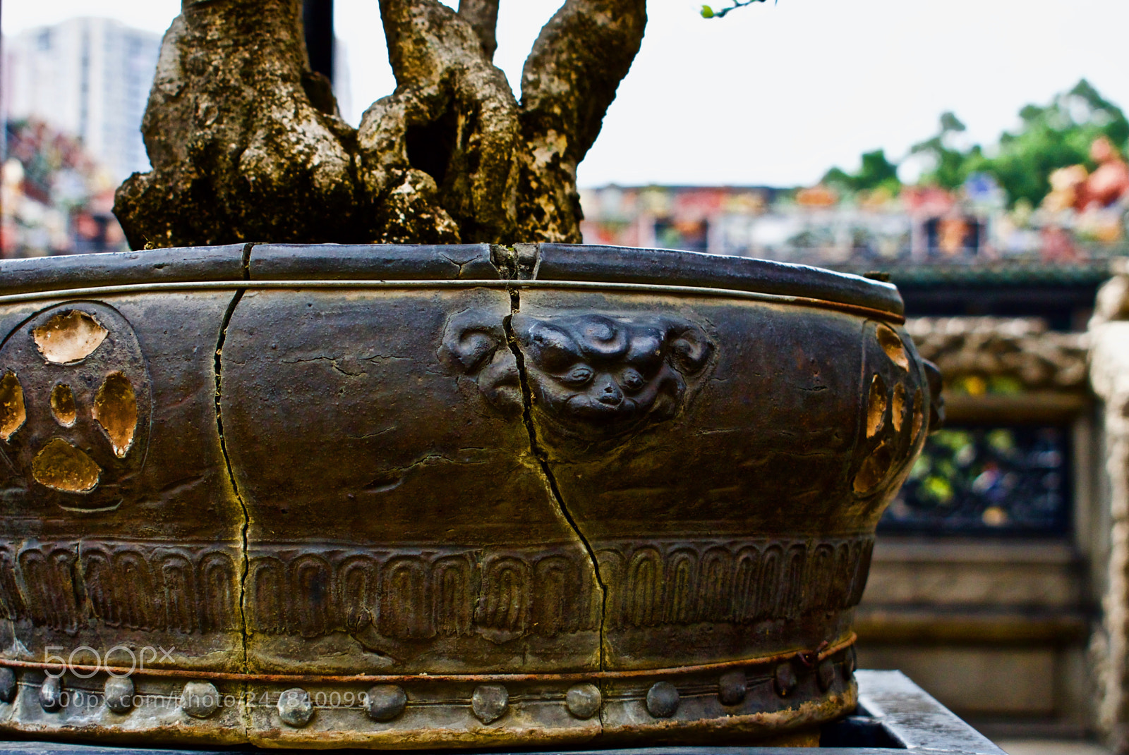 Nikon D5600 sample photo. Deep inside photography