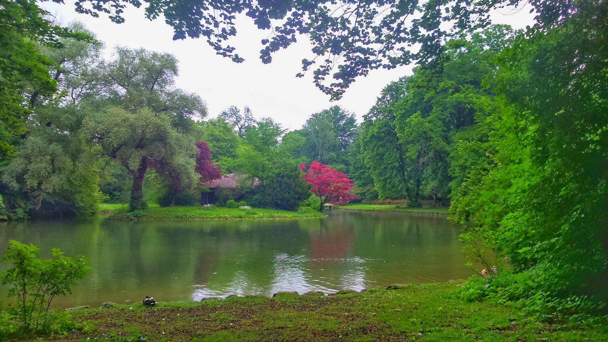 Sony Xperia M2 sample photo. Lake photography