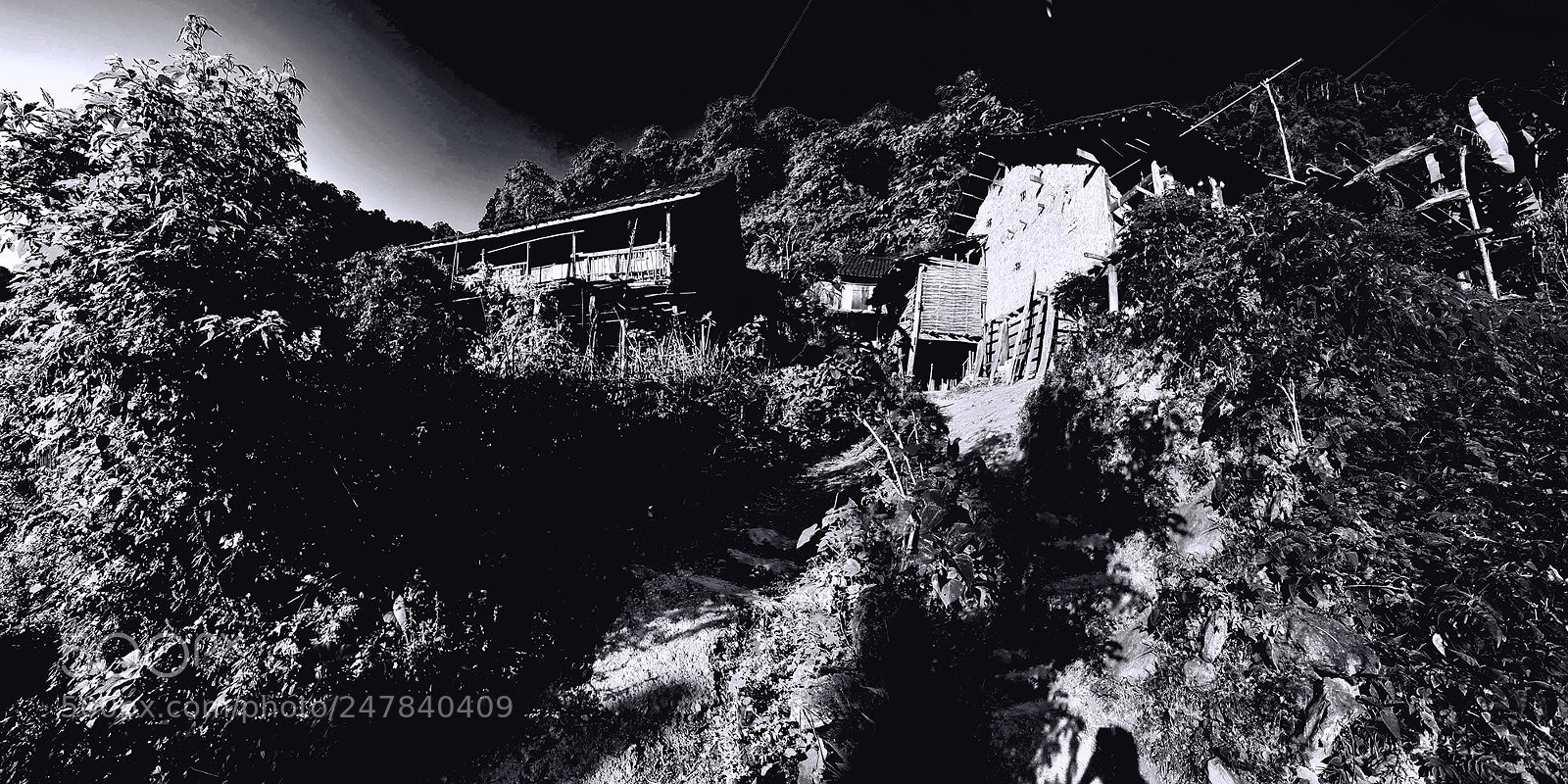 Nikon D3 sample photo. B&w photography