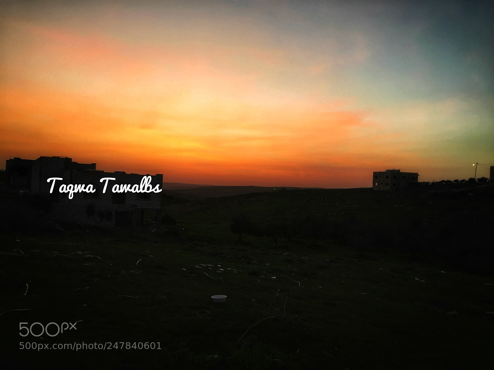 Apple iPhone 6s sample photo. Untitled photography