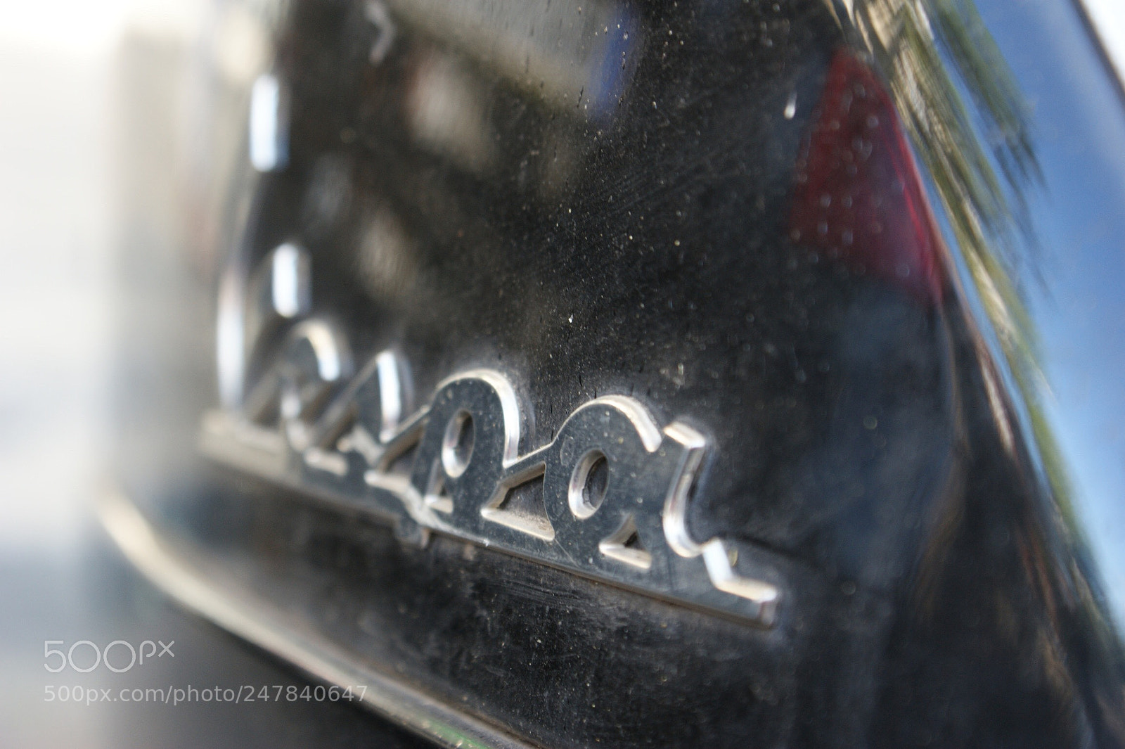Sony Alpha DSLR-A350 sample photo. Untitled photography