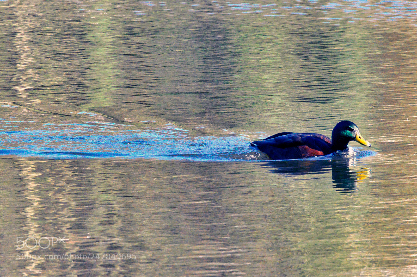 Nikon D3200 sample photo. Fall steam ahead photography