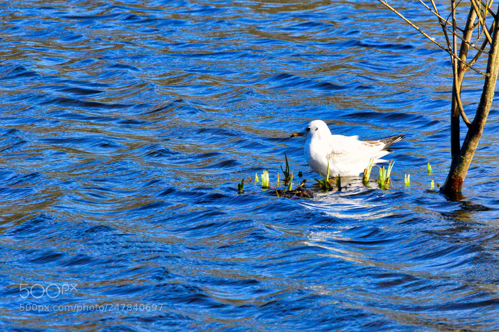 Nikon D3200 sample photo. Global warming photography