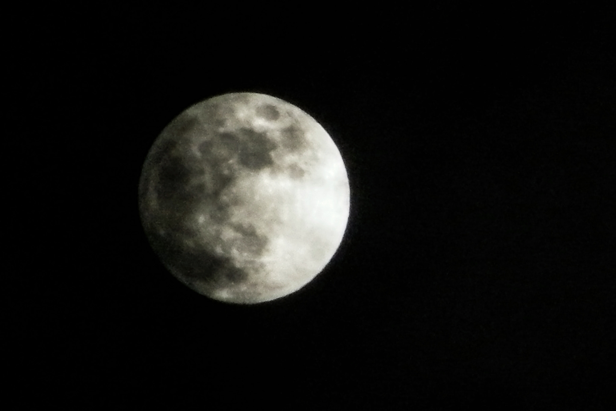 Fujifilm FinePix S2000HD sample photo