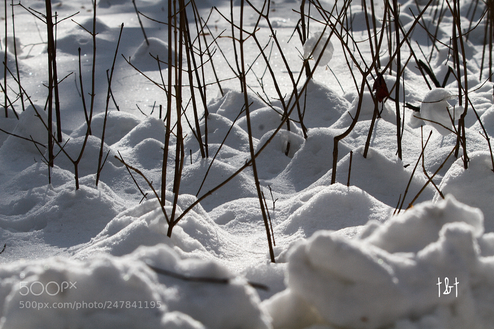 Canon EOS 7D sample photo. Untitled photography