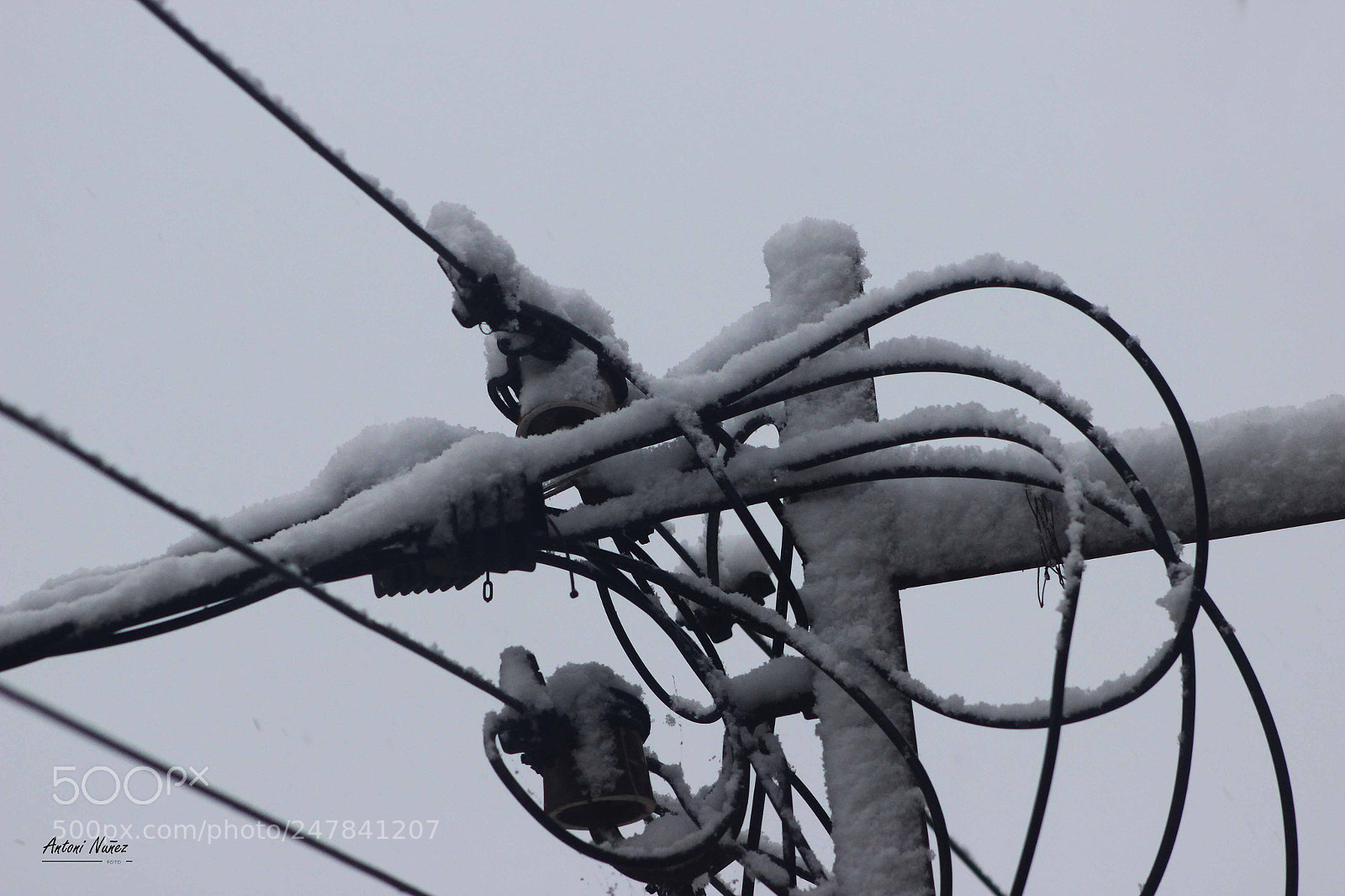 Canon EOS 600D (Rebel EOS T3i / EOS Kiss X5) sample photo. Ending winter photography