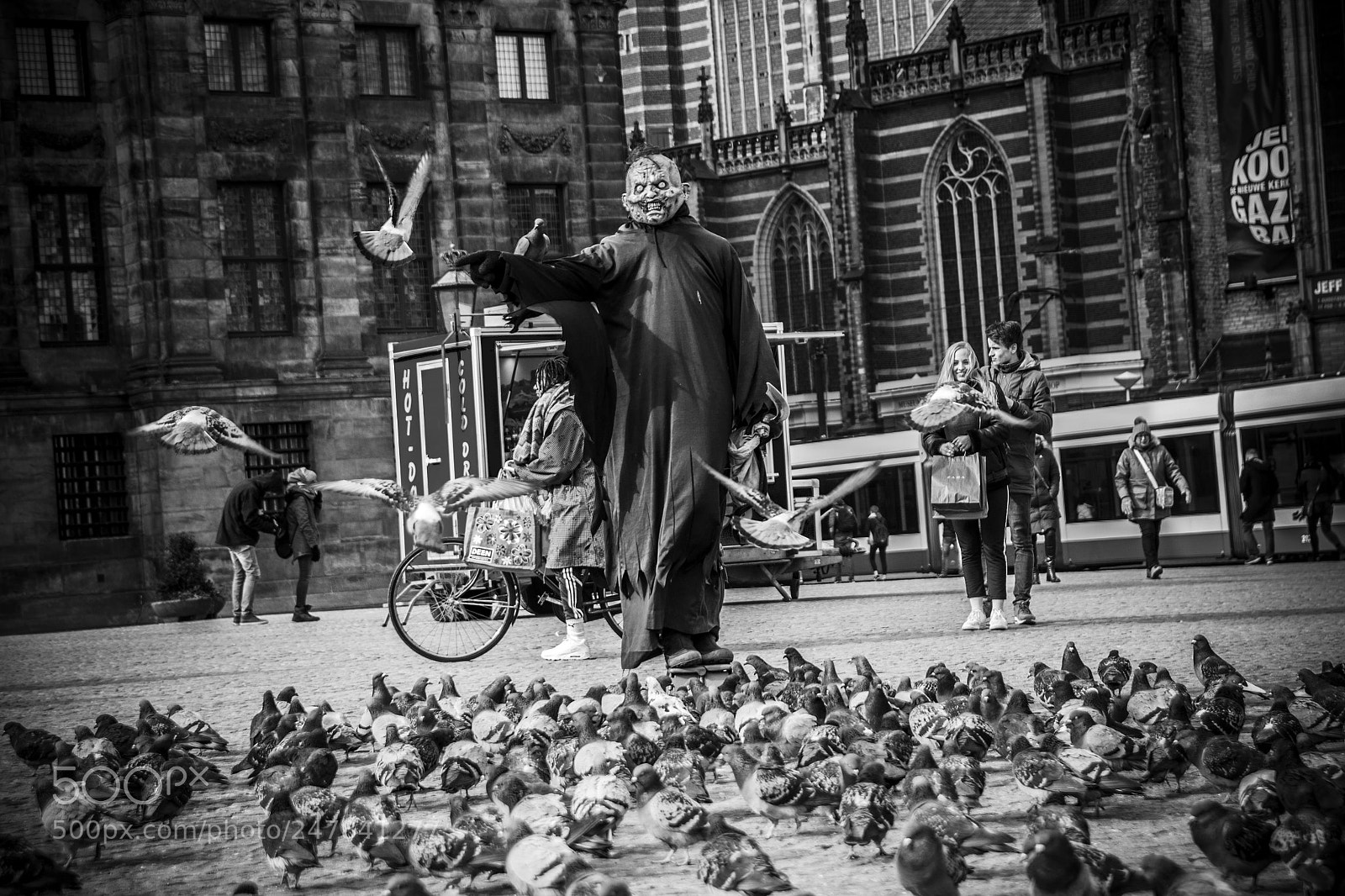 Canon EOS 500D (EOS Rebel T1i / EOS Kiss X3) sample photo. Dark lord of pigeons :) photography