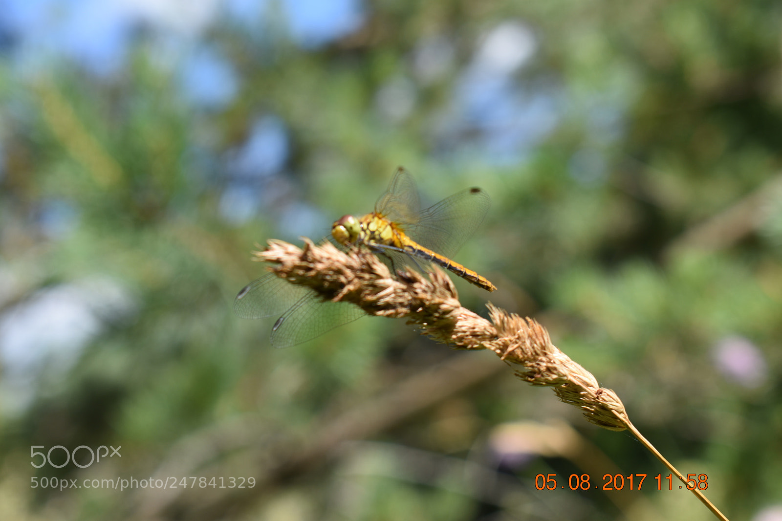 Nikon D3400 sample photo. Untitled photography