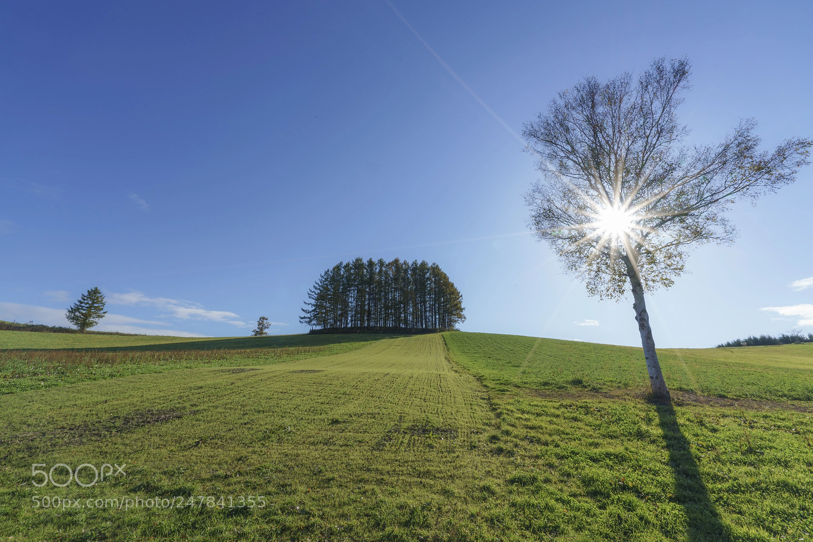 Sony a7R II sample photo. The sun hill photography