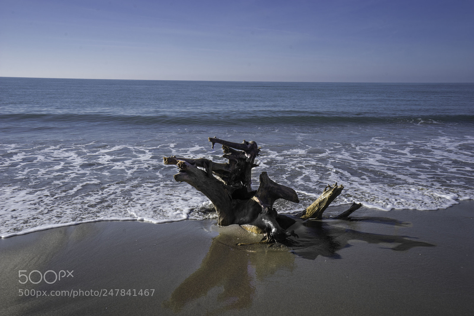 Sony a7 II sample photo. Vecchiano naufrago def photography