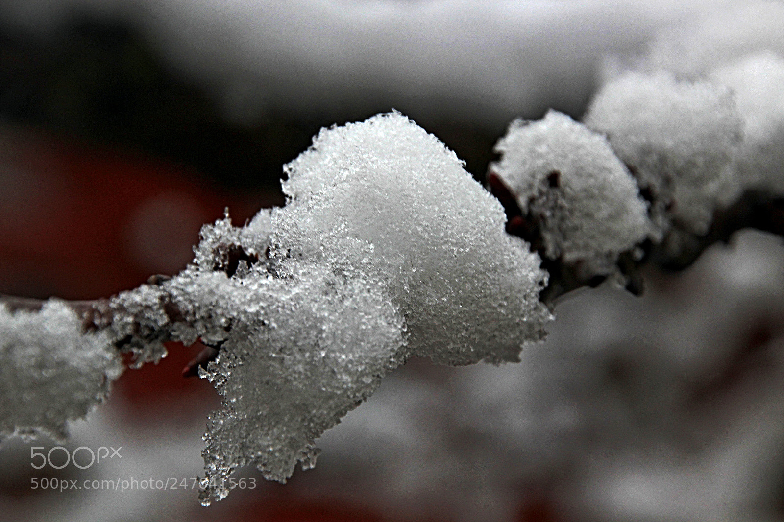 Canon EOS 600D (Rebel EOS T3i / EOS Kiss X5) sample photo. Nieve photography