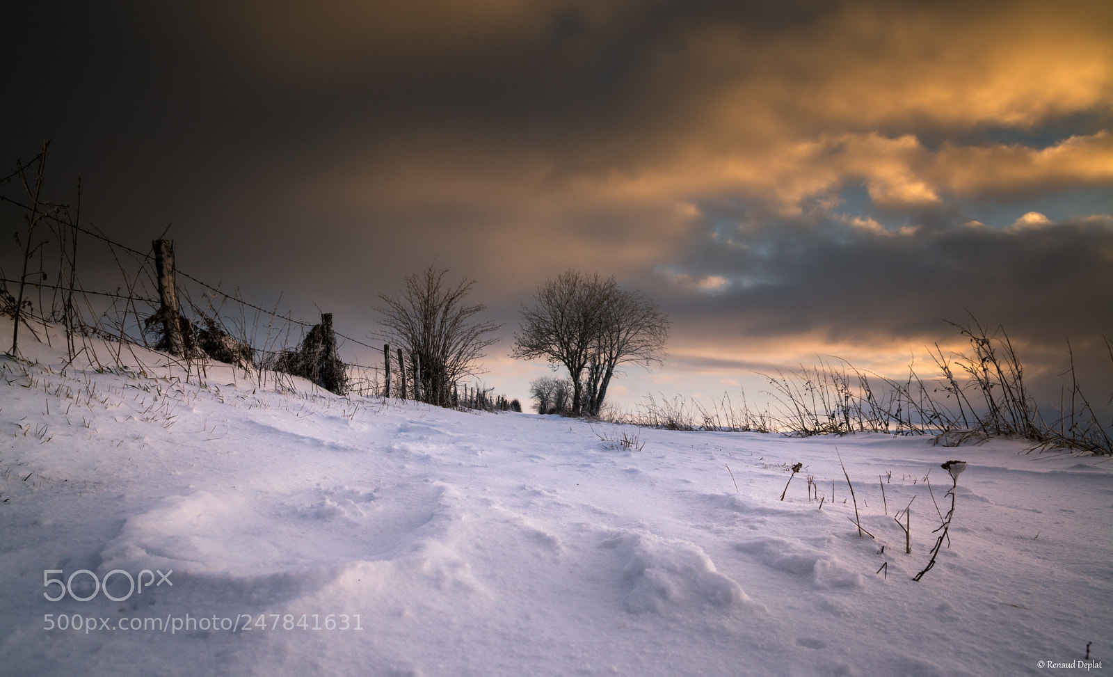 Nikon D7100 sample photo. Paysage... photography