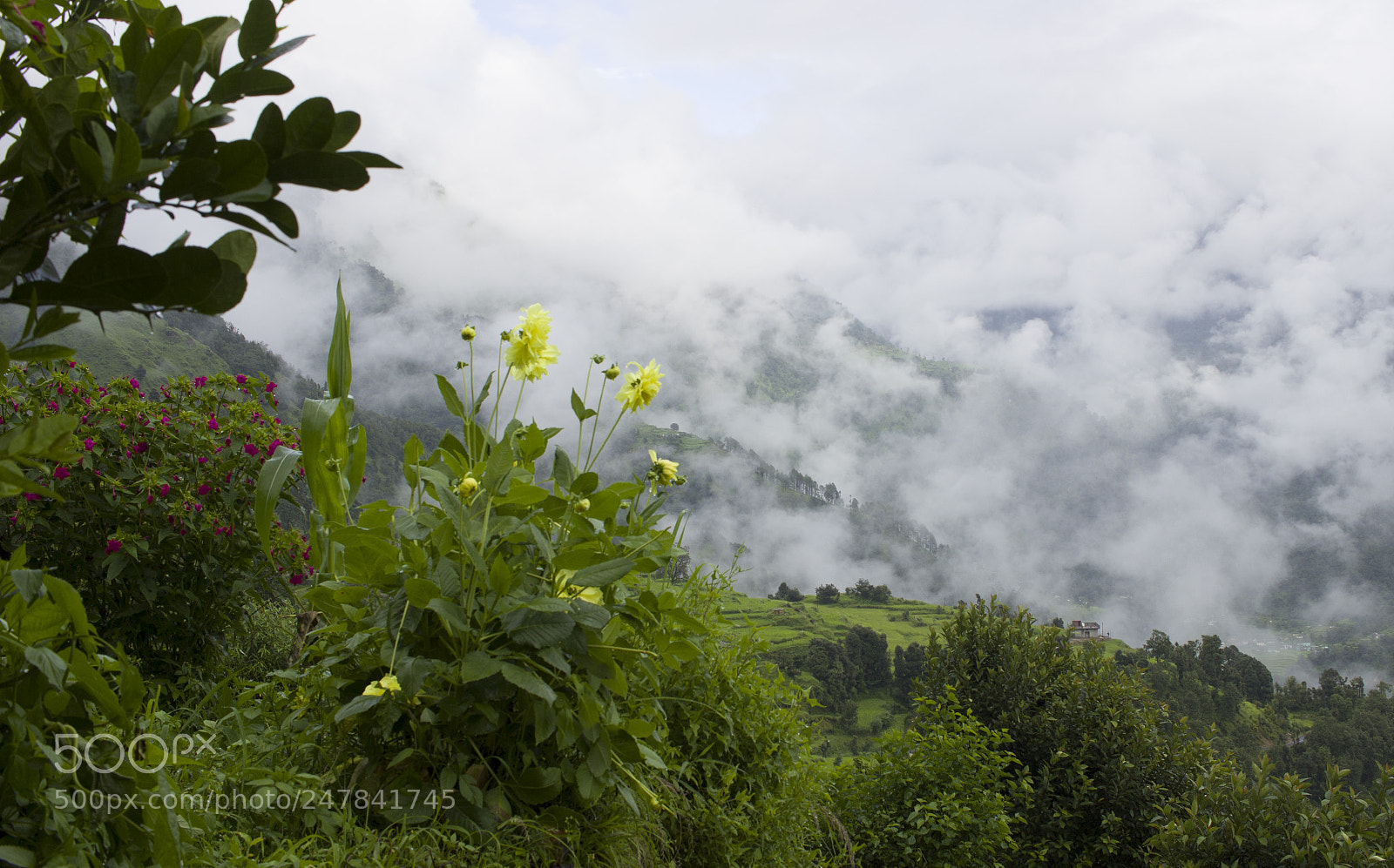 Canon EOS 600D (Rebel EOS T3i / EOS Kiss X5) sample photo. Monsoon magic photography